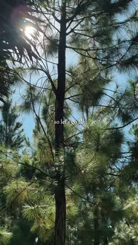 Mê quá đi #UlaBinhPhuoc #viral #viral #UlaResort #UlaCamping 