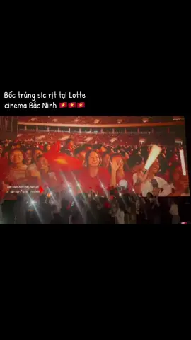 Tự hào là người Việt Nam 🇻🇳 #Toquoctrongtim #tiktok 