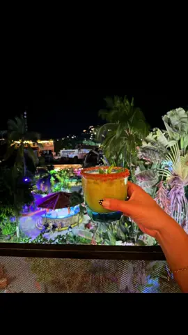 Don pato bar #sayulita #fyp #cheers #shorts #viajera 