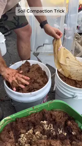 Packing soil in the bucket 🌱 #diy