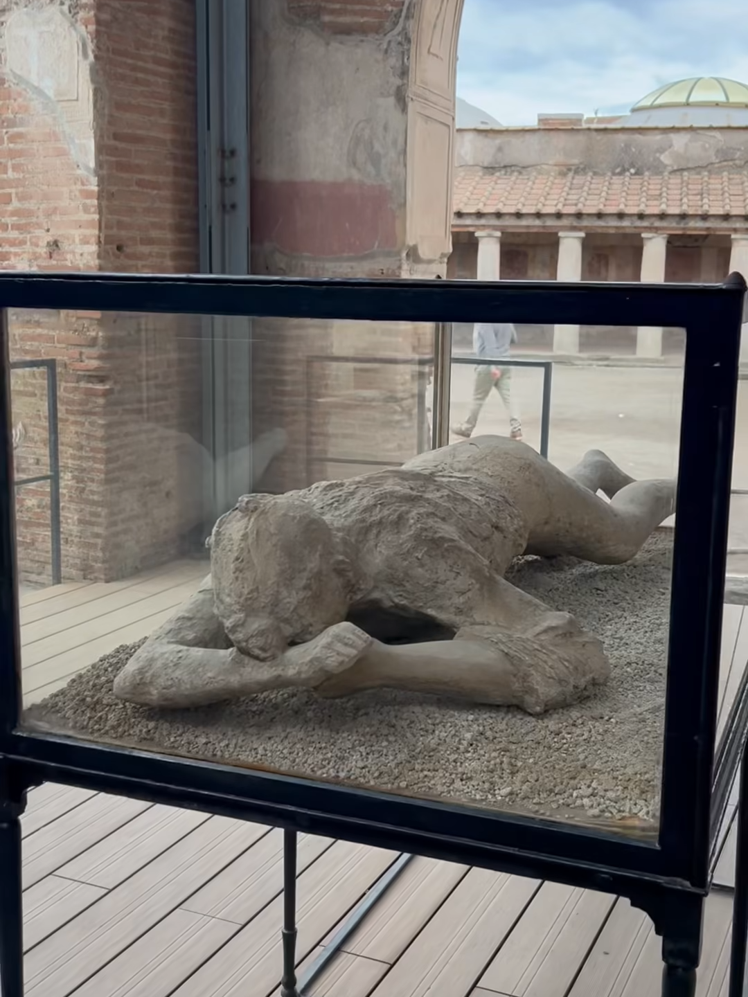 Die Toten von Pompeji! #Tierfilmer #Dokumentation #MehrWissen #wildlifephotography #fyp