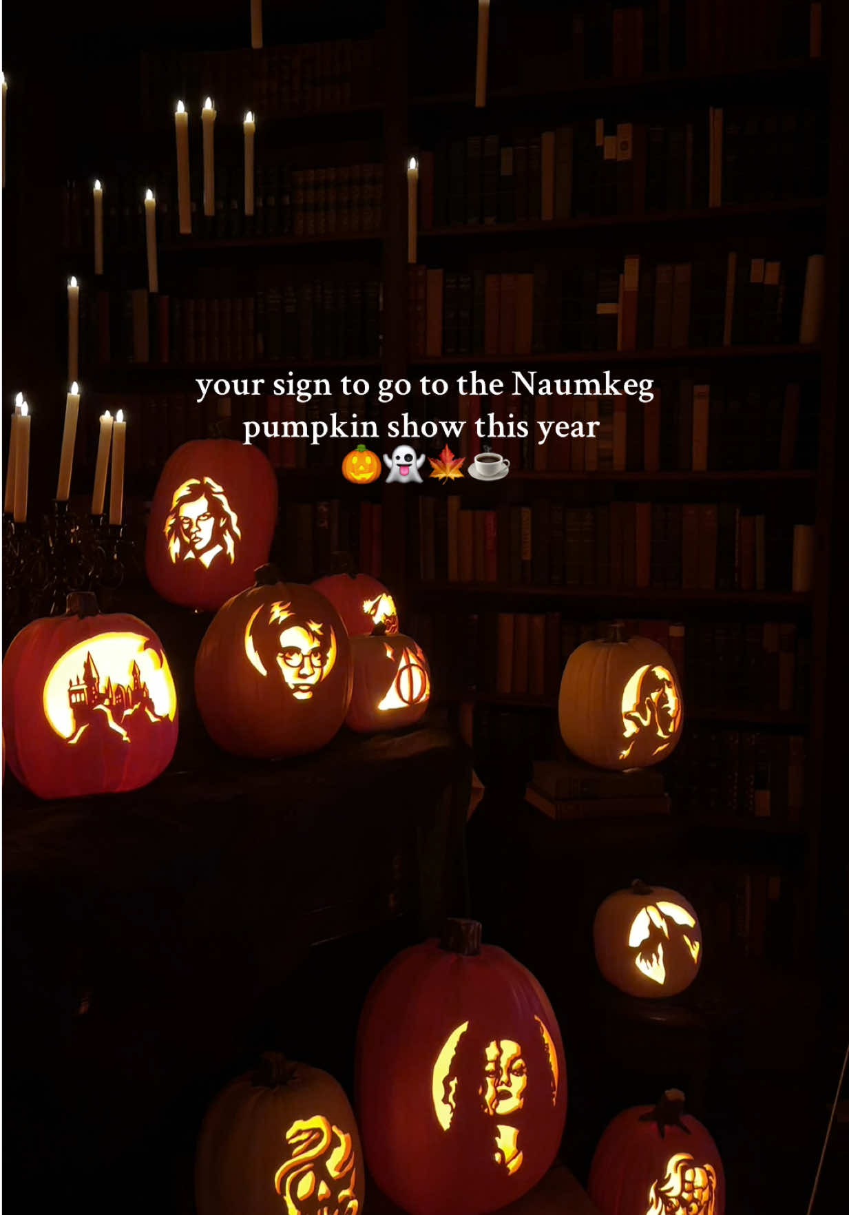 The pumpkin show was so cool 🎃🦇🌕🌙✨ such a cute fall date night #naumkeagpumpkinshow #pumpkinshow #halloweenactivity #fallactivity #massachusetts 