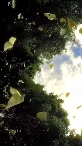 #tentangrasa #mencintaitanpasyarat 