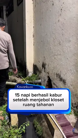 15 napi kabur melalui lubang kloset di ruang tahanan polsek Samarinda kota, saat ini 6 orang telah di amankan, 9 orang masih dalam pengerjaan  #fy #masuk #beritatiktok #beritatiktok 