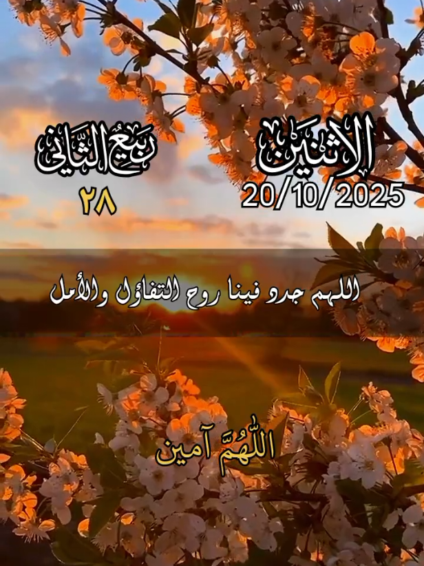 دعاء يوم الاثنين 🤲♥اللهم في صباح يوم الاثنين 🤲♥ادعية ستوريات حالات يوم الاثنين جديد 2025#دعاء_يوم_الاثنين #ادعية #صباح_الخير #حالات_واتس #اللهم_امين_يارب_العالمين 