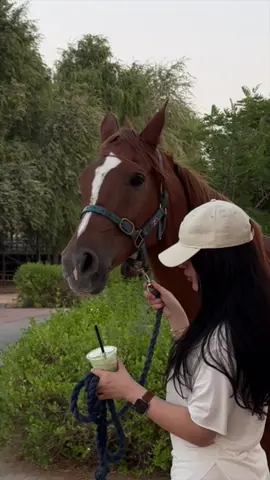 ما اجملك 🐎🐎 #explore #fyp #foryou #foryoupage #fypシ 