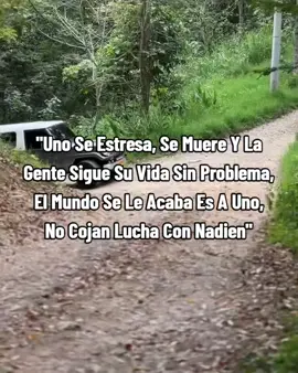 ☘️Pasión Por los motores🫡 #colombia #fyppppppppppppppppppppppp #toyota #contenido 