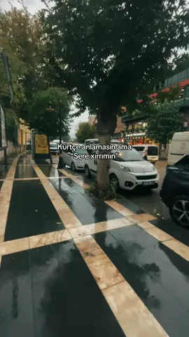 Ne demek sizce ? #keşfet#vira #trend #kürtçe #kürtçemüzik 