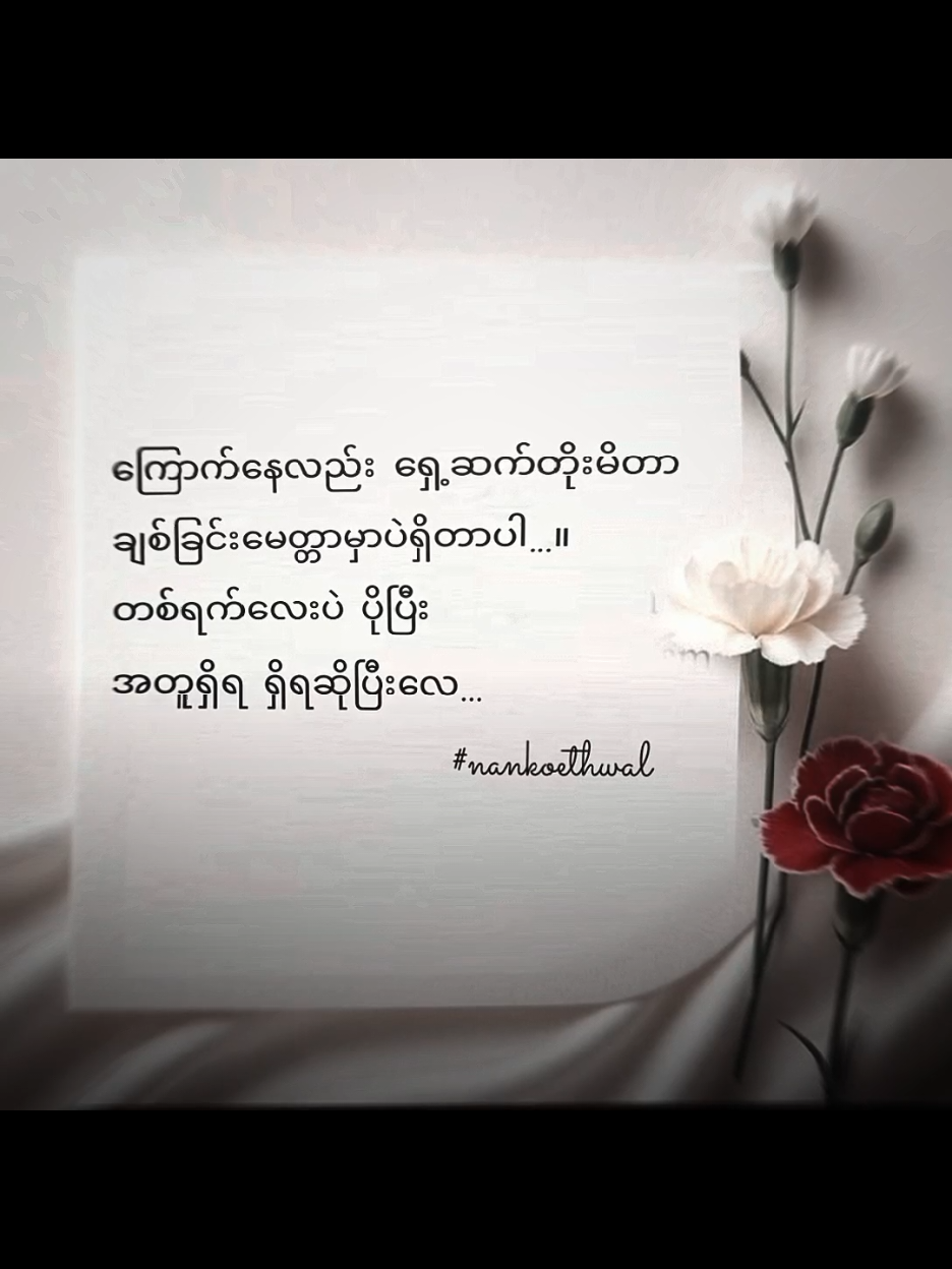 ဪ..အချစ်ရေ..အဆုံးထိကြည့်၂ပိုင်းနော် #foryou #စာတို #စာသား #စာတို☯ #စာတို💯 