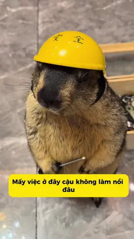 Ít nhất cho người ta làm thử đã chứ 🥲