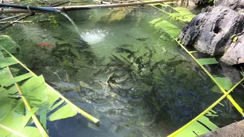 Tài sản của tôi ở tuổi 30