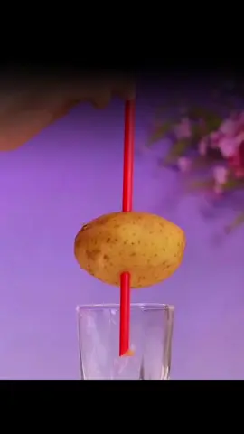 wissenschafliche experimente part 40