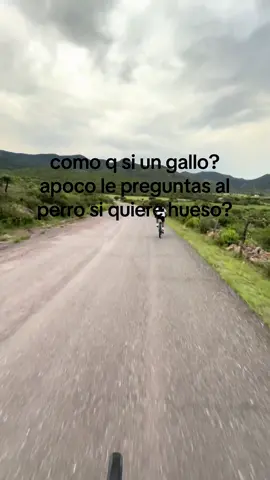 nimoño que ño #fyp #cardosadventure #donramon 