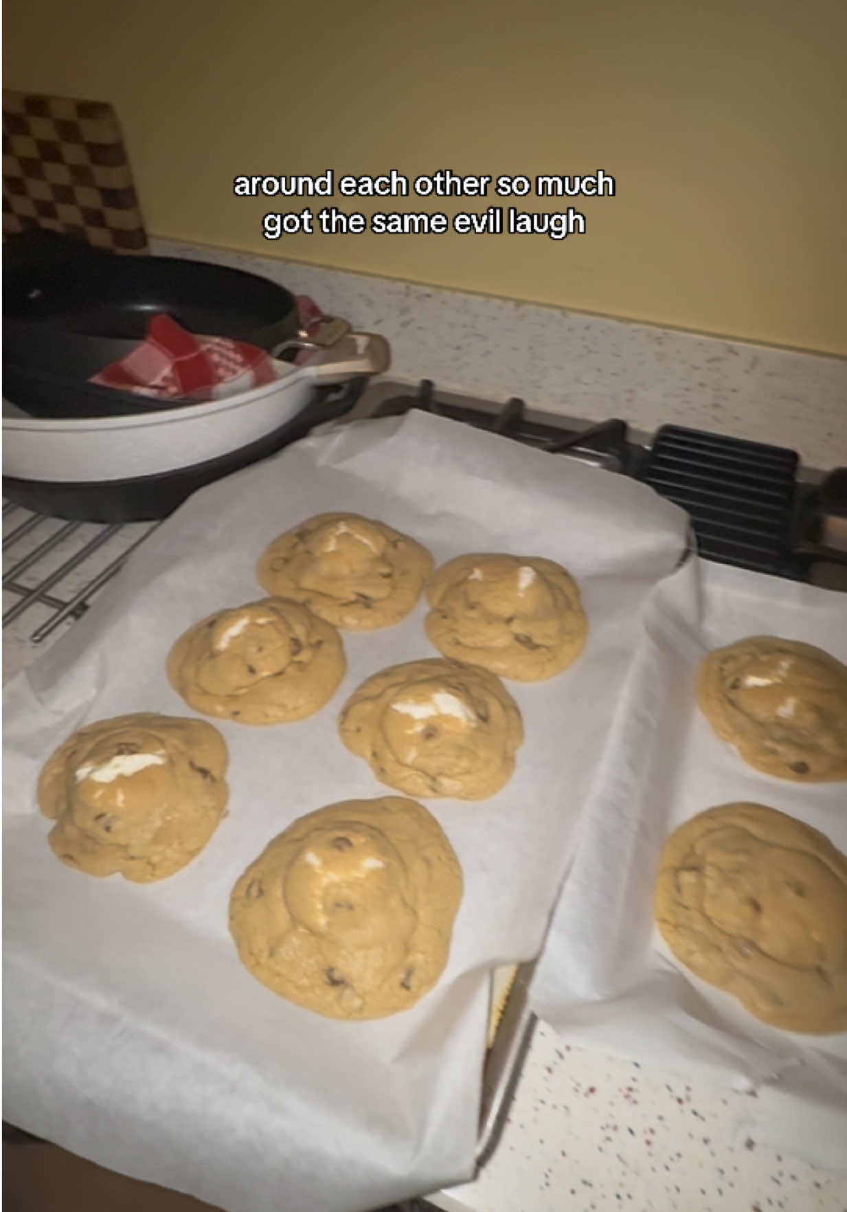 just big and evil 😹 welcome to our baking show stay tuned bc we’re gonna make an account #baking #cookies #bsfs #jokes #fyp