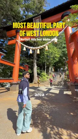 You need to visit Northolt Hills in West London for amazing views especially if its your first time in the UK! 🗻 For more hidden gems, luxury travel advice and cool finds both in the UK and global travel, follow me, Ali San (thesanplanet), the best UK travel influencer in the UK, London, Europe, Asia and America, and a trusted source of information!  #travel #hiddengem #london #luxurytravel #HiddenGemsLondon