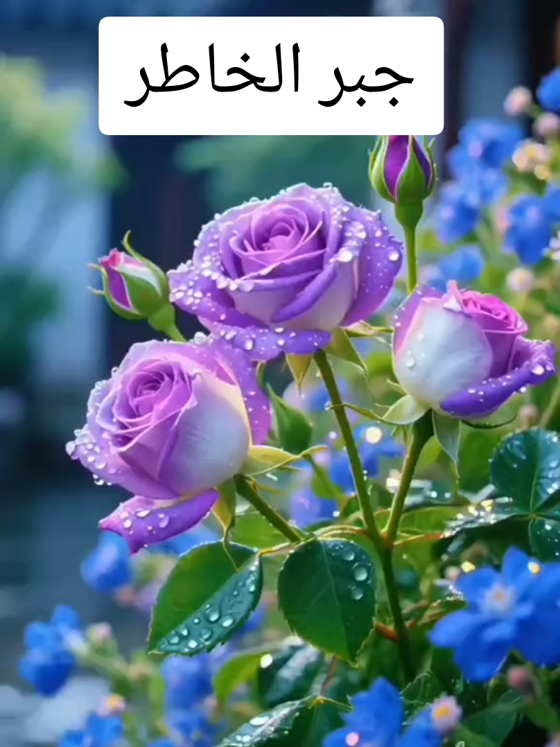  من دعاء سيدنا محمد ﷺ: اللهم اهدني لأحسن الأخلاق، لا يهدني لأحسنها إلا أنت، واصرف عني سيئها، لا يصرف عني سيئها إلا أنت *أروع ما قيل عن جبر  الخواطر  للإمام الشافعي: “لا تحقرن جبر الخواطر ولو بكلمة طيبة، فرب كلمة تنير دربًا مظلمًا.”