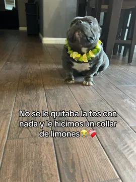 Tell me you’re Mexican without telling me you’re Mexican #explorepage #explore #viraltiktok #contentcreator #fyppppppppppppppppppppppppppppppppppp 