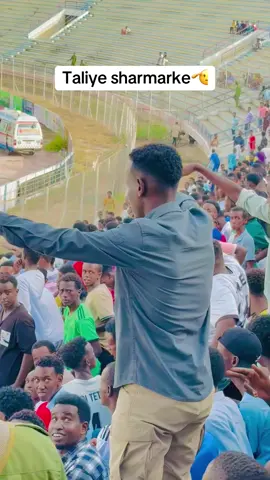 @Sharmarke_abdinoor #somalitiktok #somalitiktok #somalitiktok #xasansheikh #foryoupage 