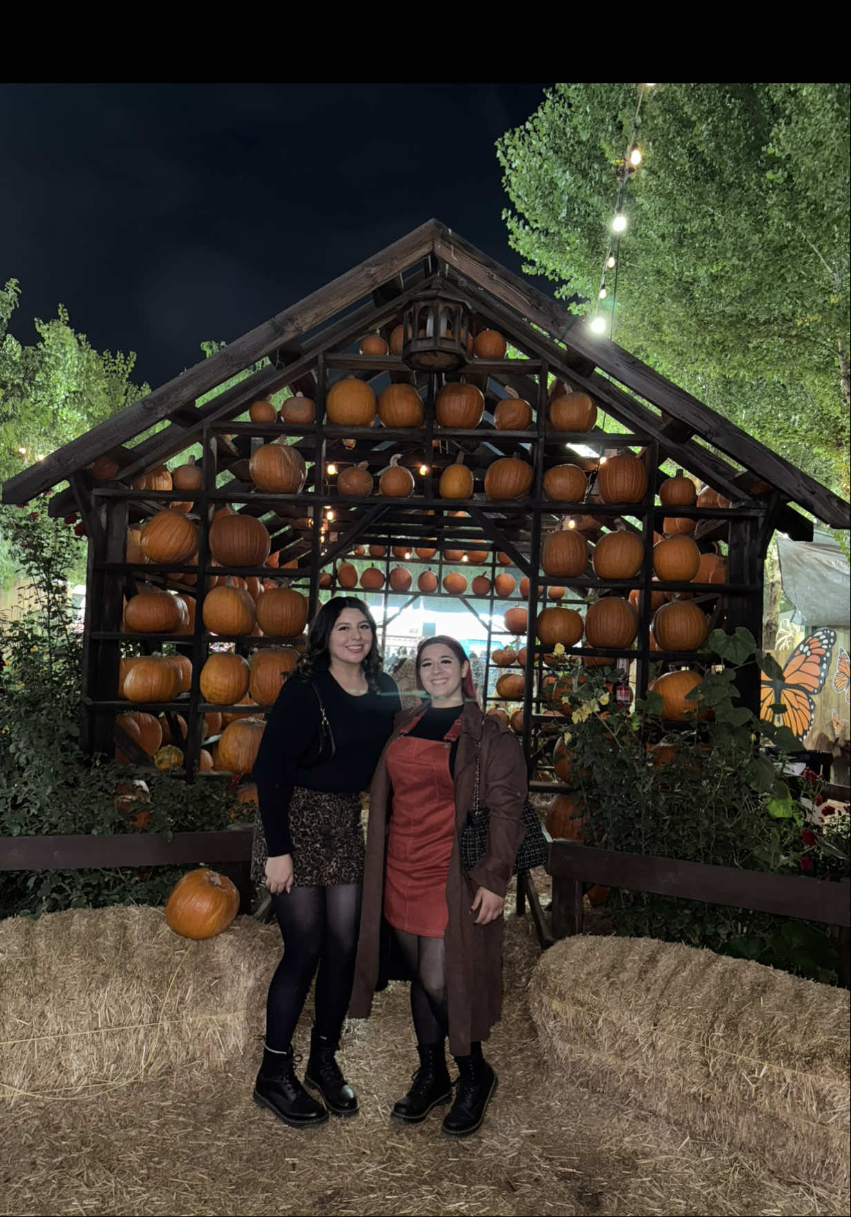 pumpkin patch maded it out the chat 🖤🎃 #pumpkinseason #pumpkinpatch #fyp #spookyseason  #trending 