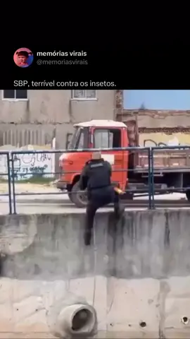 polícia matando insetos 🥰🥰  #memesbr #policiamilitar #policia #viralvideos #viraltiktok 