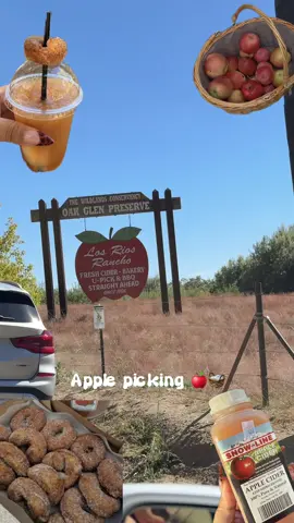 Living my cottagecore dreams 🍎🧺 #oakglencalifornia #applepicking #fallaesthetic #autumnaesthetic 