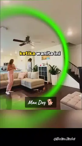 Max the service dog detects his master's epileptic seizures 🐕