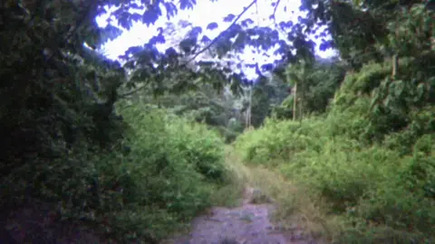 🫤 #fyp #itssnowinglikeitstheendoftheworld  