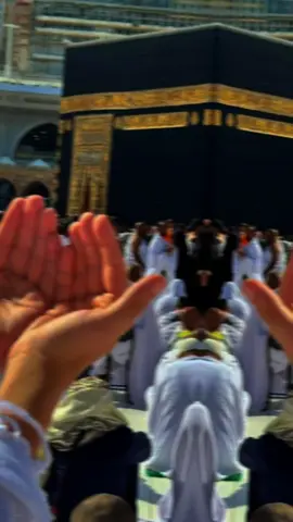 #viraltiktok #foryoupage #quran #fyp #quran_alkarim 