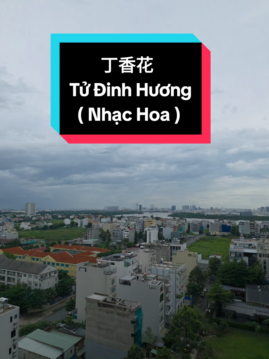 丁香花 - Tử Đinh Hương. #Realtorhcmc #丁香花 #tudinhhuong #nhachoa #nhactrung