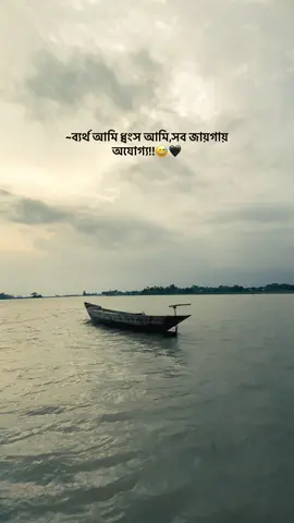 ~ব্যর্থ আমি ধ্বংস আমি,সব জায়গায় অযোগ্য!!😅🖤#bd #tiktok #foryou #viral #fyp 