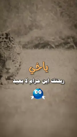 #عبارت #اكسبلورexplore #اكسبلورر 