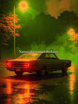 Part 33 | namni akkamin of dhokatee #lyricsedit #oromotiktok #oromomusic #ethiopian #lyrics_songs 