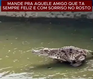 Sabe aquele amigo que dependente está sempre  com o sorriso no rosto? Pois é, marca ele nos comentários 🤣 #fypviral #viralfypシ゚viral @Vela Preto @Vela Preto @Vela Preto 