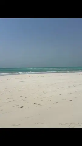 #4u #abudhabi 