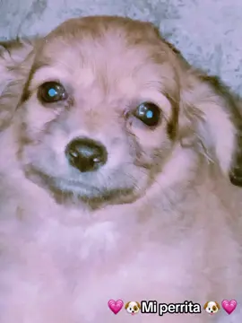 #paratiiiiiiiiiiiiiiiiiiiiiiiiiiiiiii😍🥹🌸 