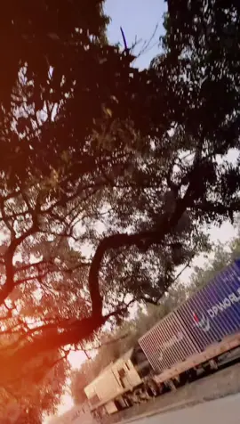 #foryou #100kviews #100klike #please100kfollowers @🆂🅰🅻🅼🅰🅽 