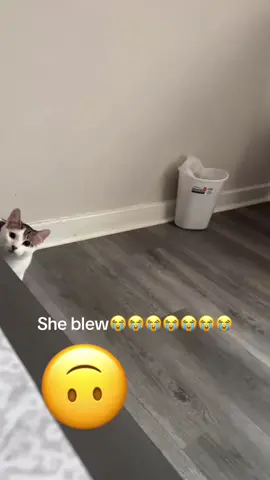 #❣️ #thankful #fypシ゚viral #US #bad 😏