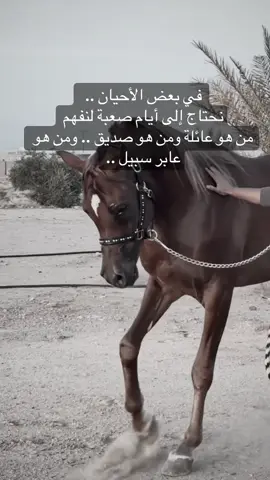 #خيل_وخياله🐎 #viral #fyp #اقتباسات #اكسبلورexplore 