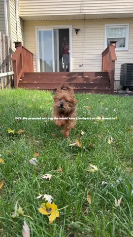It warms my heart truly 🤍 #backyardvibes #dogrunning #dogsoftiktok #fypシ #promisesmadepromiseskept 