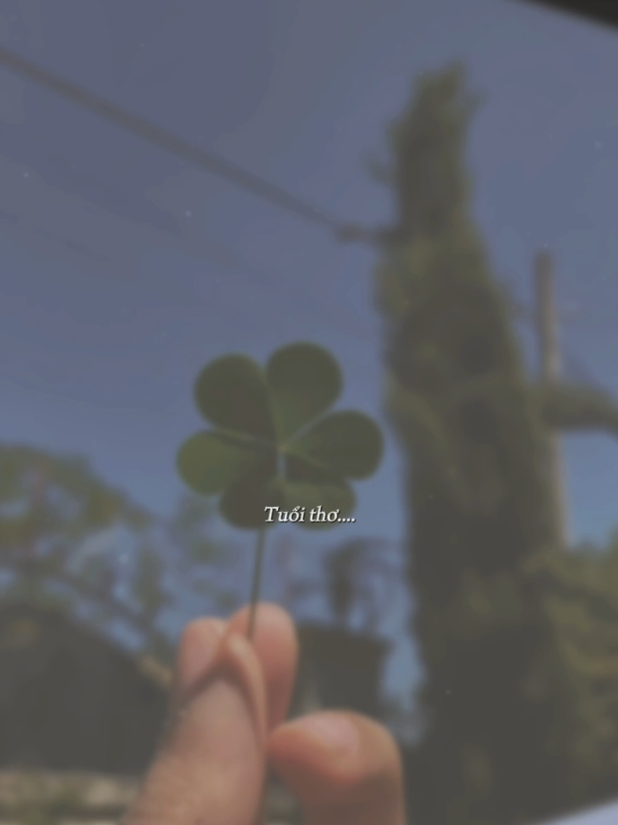 Tuổi thơ như áng mây... #ngayxuaoi #baotram #naoranhcafe #nhactamtrang #xuhuong 