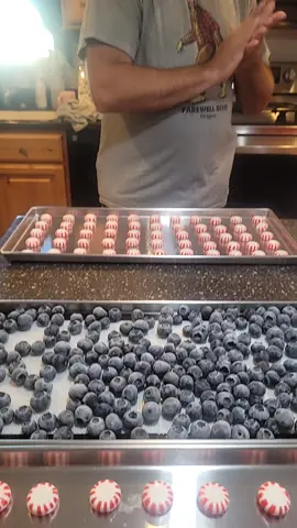 Harvest season is the best! #homemade #homesteading #homestead #harvestrightfreezedryer #harvestrightcommunity 