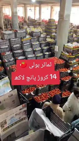 ٹماٹر بولی 🍅 14 کروڑ پانچ لاکھ #searchinsight #tomato #foryou #fyp #fyi 