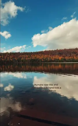 #northshore #minnesota #fall #fyp #viral 