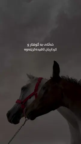 سەرەڕای ئەوەی مرۆڤەکان گاڵتە بە تواناکانت دەکەن، یان بە درۆ و ڕیاوە ڕووت تێدەکەن و بۆ شکستت دەگەڕێن، کەسانی ژیر تەنیا بە چەکی لێبووردەیی کات و خۆڕاگری وەڵامیان دەدەنەوە. زیرەکەکان نایەڵن تووڕەیی زاڵ بێت بەسەریاندا، چونکە بڕوایان وایە تەنها کات دەتوانێت نییەتی شاراوە و قێزەونی دڵەکان بخاتە ڕوو. هێزی ڕاستەقینە لە توانای کۆنترۆڵی دەرووندایە کاتێک هەمووان هەڵدەچن. ئەوە بزانە کە ماندووبوونی ڕۆحت بە فێڕۆ ناچێت، و گرنگ نییە خەڵکی چۆن سەیرت دەکەن، چونکە ئارامی و دڵنیایی ڕاستەقینە تەنها لە ڕێگەی دڵخۆشی خوداوەیە. بۆیە بەرگە بگرە، چونکە سەرکەوتن کۆتایی ئەو ڕێگایەیە کە بە ئارامگرتن دەستی پێکردووە.