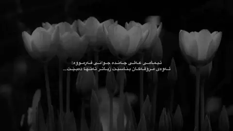 #ئيمامي_عمر_بن_خطاب #اللهم_صل_وسلم_على_نبينا_محمد #ئاکرێ_بادینان_دهوك_زاخو_هەولێر #اللهم_صلي_على_نبينا_محمد #اللهم_صل_وسلم_على_نبينا_محمد 