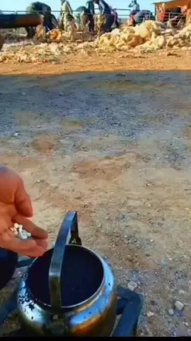 #sehmuskaya 