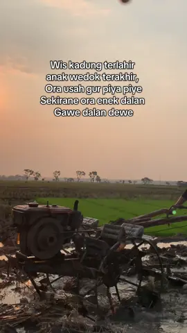 Nyoride🌾🌾 #petani #petaniindonesia🇮🇩🇮🇩🇮🇩🌿🌿 #petanimuda #traktorsawah #fyp 