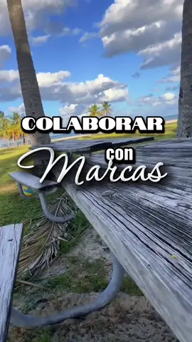 #creatorsearchinsights  Colaborar con marcas Cree en ti  #marca  #mama #latina #creeenti @karosuarezdigital 