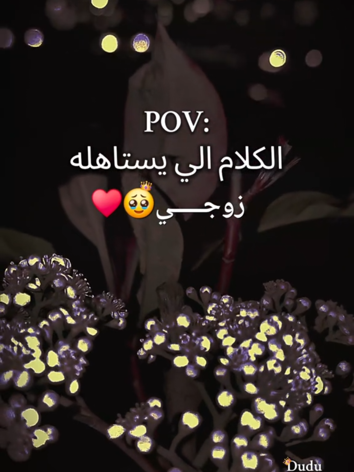 لزوجي🥹♥#أم_حمودة👑 #أم_محمد_وماسة_وسيما_وعسل🤍 #أم_ماسة_سيما_عسل👑 #دودو_الفرفوشة👑 #بيبي_عسولة🎀🍯 