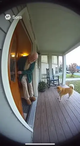 Wow #soraai #fyp #viral #funny #dog 